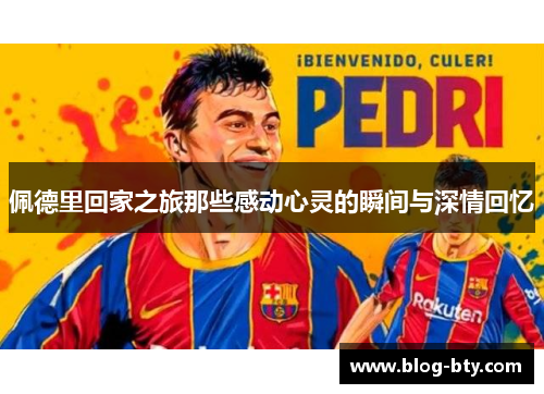 佩德里回家之旅那些感动心灵的瞬间与深情回忆