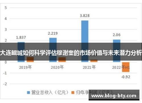 大连鲲城如何科学评估穆谢奎的市场价值与未来潜力分析