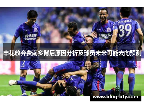 申花放弃费南多背后原因分析及球员未来可能去向预测